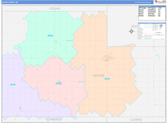 Wayne County, NE Digital Map Color Cast Style