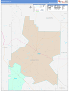 Webster County, GA Digital Map Color Cast Style