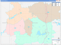 Wexford County, MI Digital Map Color Cast Style