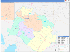 Williamsburg County, SC Digital Map Color Cast Style