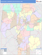 Tuscaloosa Metro Area Digital Map Color Cast Style