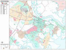 Savannah Digital Map Premium Style