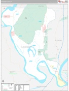 Alexander County, IL Digital Map Premium Style