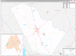 Bee County, TX Digital Map Premium Style