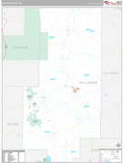 Bollinger County, MO Digital Map Premium Style