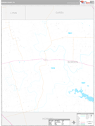 Borden County, TX Digital Map Premium Style