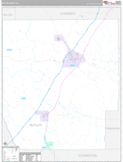 Butler County, AL Digital Map Premium Style