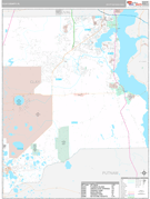 Clay County, FL Digital Map Premium Style