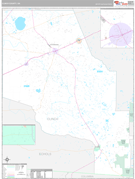 Clinch County, GA Digital Map Premium Style