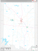 Coleman County, TX Digital Map Premium Style
