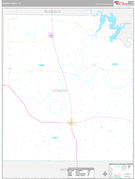 Concho County, TX Digital Map Premium Style