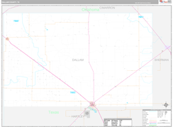 Dallam County, TX Digital Map Premium Style