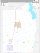 Henry County, AL Digital Map Premium Style