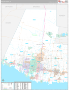 Hidalgo County, TX Digital Map Premium Style