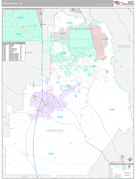 Houston County, GA Digital Map Premium Style