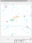 Ionia County, MI Digital Map Premium Style