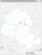 Lee County, SC Digital Map Premium Style