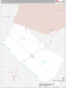 Long County, GA Digital Map Premium Style