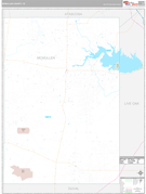McMullen County, TX Digital Map Premium Style