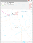 Nolan County, TX Digital Map Premium Style