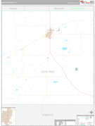 Ochiltree County, TX Digital Map Premium Style