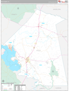 Polk County, TX Digital Map Premium Style