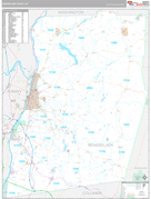 Rensselaer County, NY Digital Map Premium Style