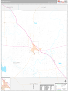 Scurry County, TX Digital Map Premium Style