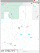 Texas County, MO Digital Map Premium Style