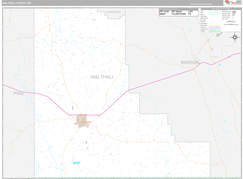Walthall County, MS Digital Map Premium Style