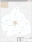 Washington County, GA Digital Map Premium Style