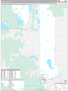 Washoe County, NV Digital Map Premium Style