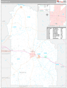 Worth County, GA Digital Map Premium Style