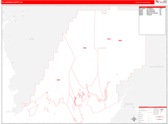 Dillingham Borough (County), AK Digital Map Red Line Style