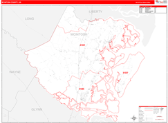McIntosh County, GA Digital Map Red Line Style