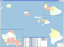 Census Tract Example Image