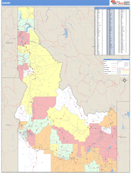 County Demographic Example
