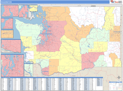 County Demographic Example