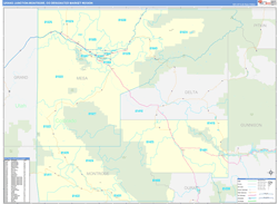 Grand Junction-Montrose, CO DMR Wall Map Basic Style