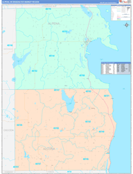 Alpena, MI DMR Wall Map Color Cast Style