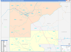 Grand Junction-Montrose, CO DMR Wall Map Color Cast Style