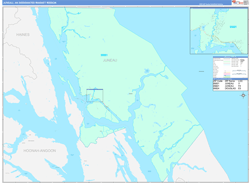 Juneau, AK DMR Wall Map Color Cast Style