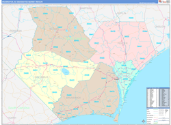 Wilmington, NC DMR Wall Map Color Cast Style