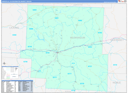 Zanesville, OH DMR Wall Map Color Cast Style