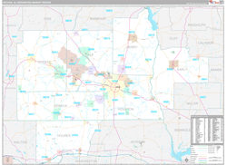 Dothan, AL DMR Wall Map Premium Style