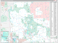 Phoenix, AZ DMR Wall Map Premium Style