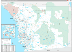San Diego, CA DMR Wall Map Premium Style