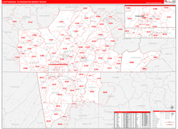 Chattanooga, TN DMR Wall Map Red Line Style