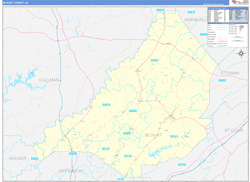 Blount County, AL Wall Map Zip Code Basic Style 2024
