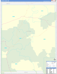 Catron County, NM Wall Map Zip Code Basic Style 2024
